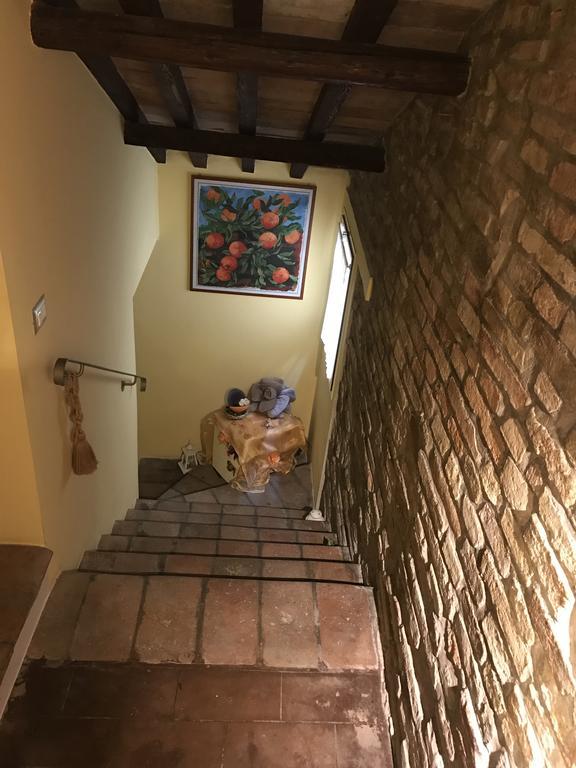 B&B Aurora Domus D'A-Mare Pesaro Ngoại thất bức ảnh